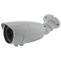IPCV229-3OI