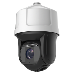 SF-IPSD9936-2Y-L500