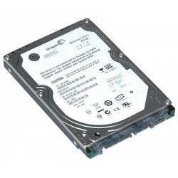 HDDS320GB-2,5